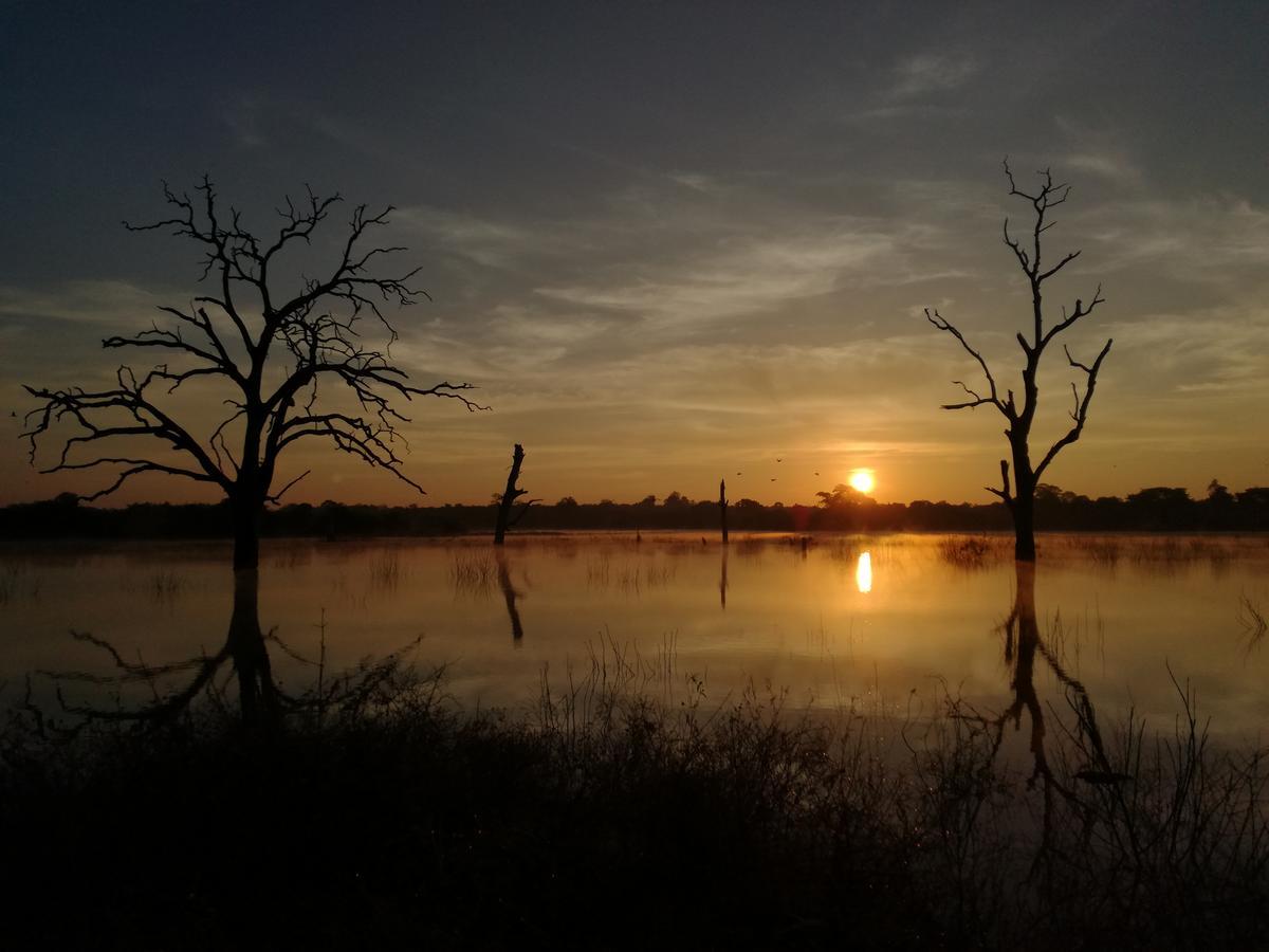 Induwara Safari Resort Udawalawe Bagian luar foto