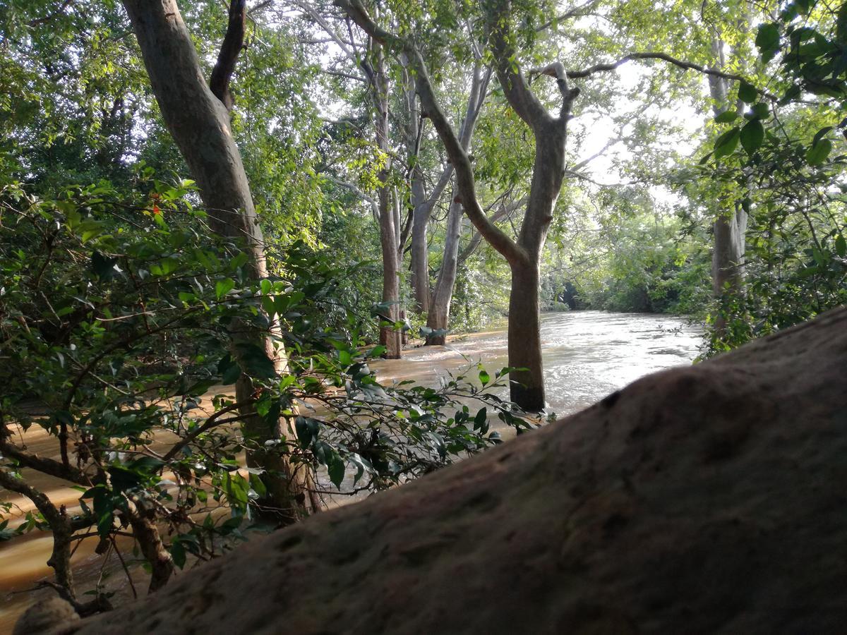 Induwara Safari Resort Udawalawe Bagian luar foto