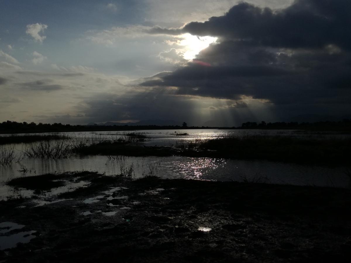 Induwara Safari Resort Udawalawe Bagian luar foto
